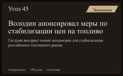 Вячеслав Володин анонсировал комплекс мер по стабилизации российского топливного рынка