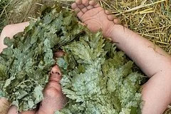 Рынок банных услуг Москвы демонстрирует стремительный рост и восстановление экономики