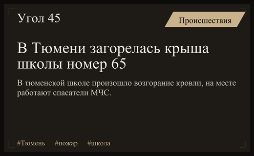 В Тюмени крупный пожар охватил крышу школы номер шестьдесят пять