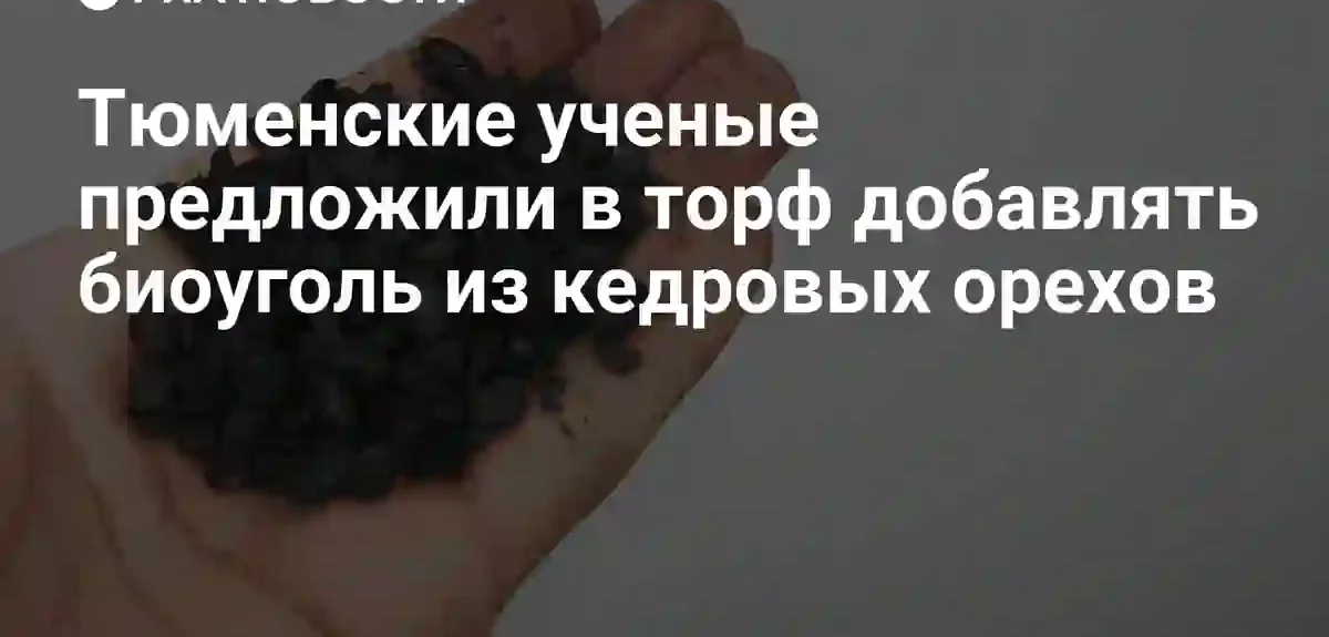 Тюменские исследователи нашли способ улучшить торфяные субстраты с помощью биоугля
