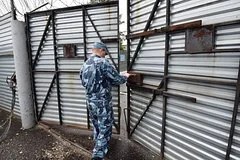Бывшие хабаровские живодерки сменили личности и начали новую жизнь в крупных городах
